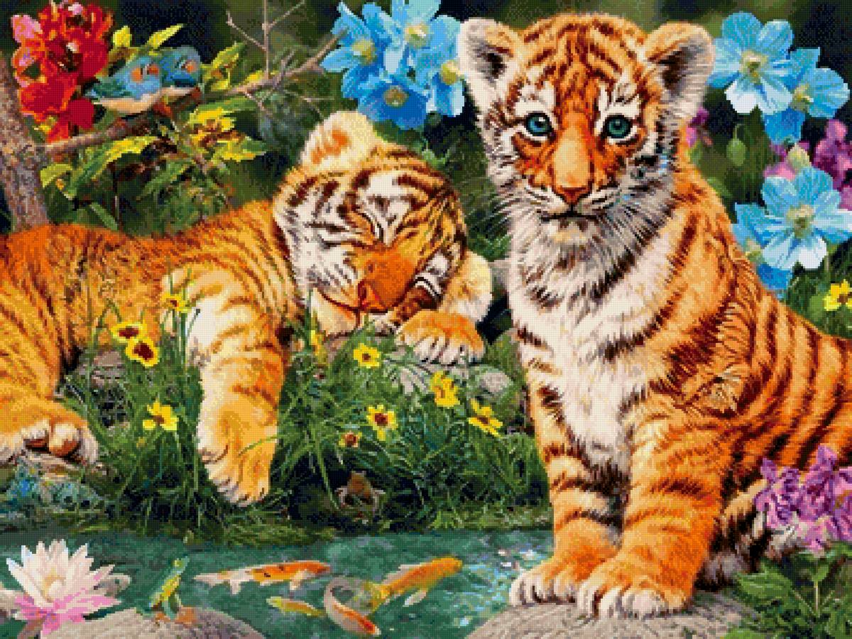 №2558222 - тигры, животные, природа - предпросмотр