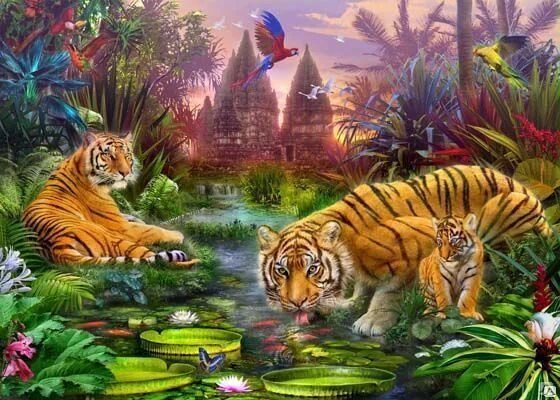 №2559603 - природа, животные, тигры - оригинал