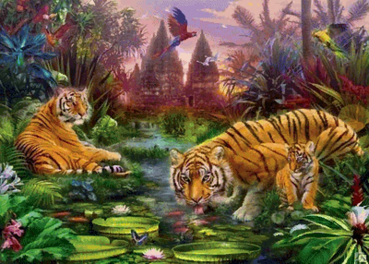 №2559603 - природа, тигры, животные - предпросмотр