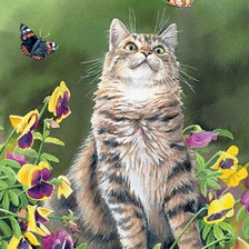 Оригинал схемы вышивки «Кот в летнем саду» (№2581498)