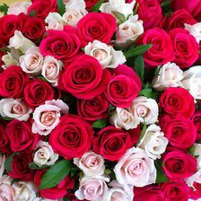 Схема вышивки «Розы красные и белые»