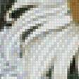 Предпросмотр схемы вышивки «Хризантемы» (№2590911)