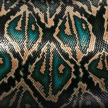Оригинал схемы вышивки «змеиный принт» (№2598279)
