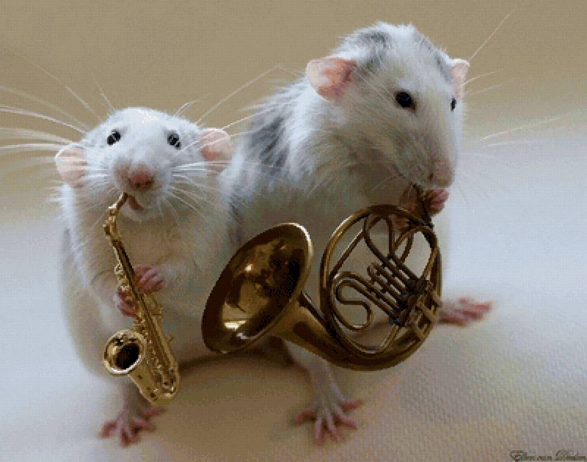 Мышиный концерт - музыка, мыши, саксафон, труба - предпросмотр
