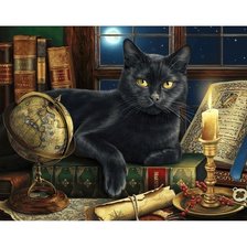 Оригинал схемы вышивки «Волшебный мудрый кот» (№2599518)