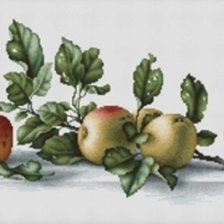 Оригинал схемы вышивки «Яблоки» (№2603314)