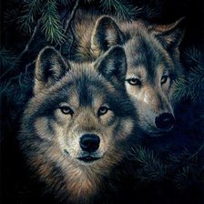 Схема вышивки «волчья пара»