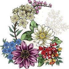 Оригинал схемы вышивки «цветы» (№2608093)
