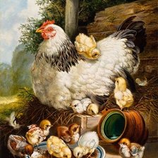 Оригинал схемы вышивки «Вернер Уиллис. Курица с цыплятами.» (№2611740)