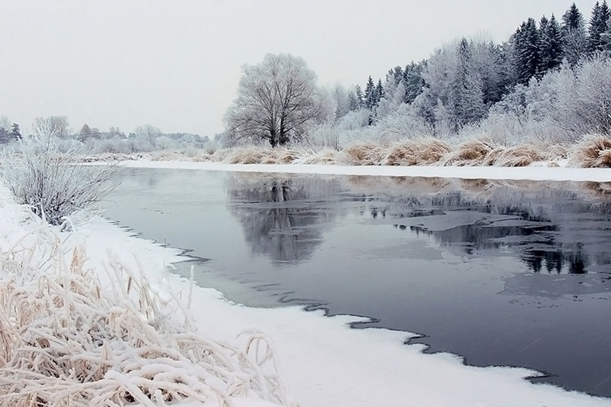 Зима - кусты, снег, отражение, речка, зима, дерево, лед, берег, вода - оригинал