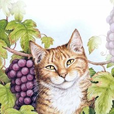 Оригинал схемы вышивки «Кот и виноград» (№2617466)
