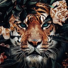 Оригинал схемы вышивки «Тигр с цветами» (№2620178)