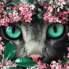 Оригинал схемы вышивки «Кот с зелеными глазами» (№2620183)