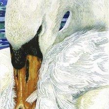 Оригинал схемы вышивки «царевна лебедь» (№2636501)