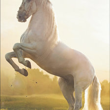 Оригинал схемы вышивки «Белая лошадь» (№2637978)