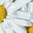 Предпросмотр схемы вышивки «Букет полевых цветов» (№2639226)
