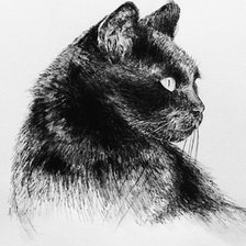 Оригинал схемы вышивки «Чёрная кошка. Набросок угольным карандашом» (№2645994)