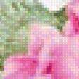 Предпросмотр схемы вышивки «Розовая гортензия» (№2646806)