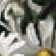 Предпросмотр схемы вышивки «Букет полевых цветов» (№2647275)