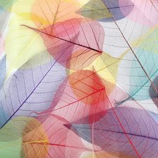 Схема вышивки «листья разноцветные»