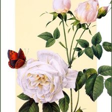 Схема вышивки «Ветка розы»