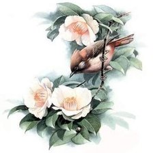 Оригинал схемы вышивки «Птица на ветке» (№2655801)