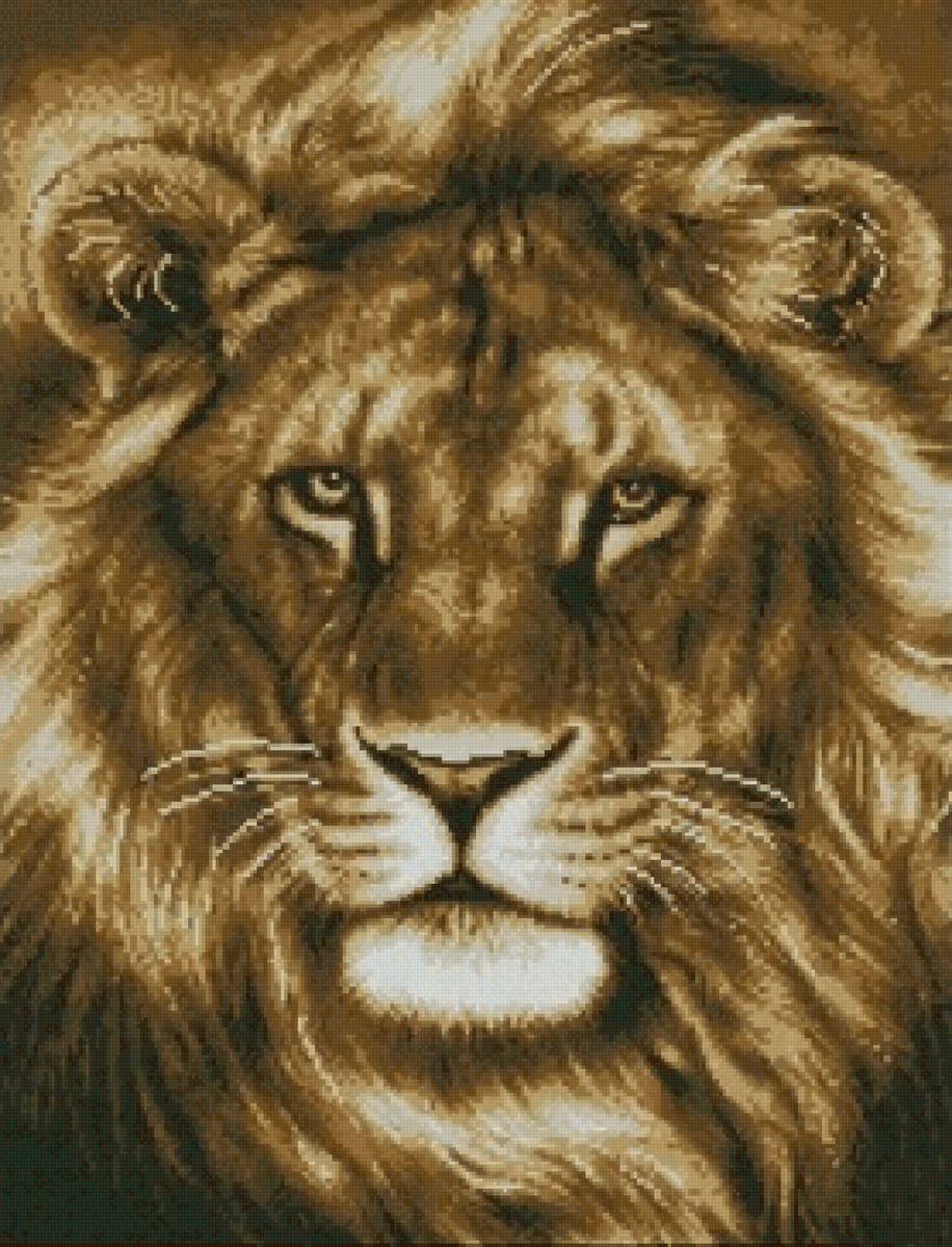 Лев - кошки, львиная морда, монохром, звери, лев, хищник - предпросмотр