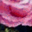 Предпросмотр схемы вышивки «Букет из роз» (№2665669)