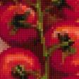 Предпросмотр схемы вышивки «Овощной сэмплер.» (№2666768)