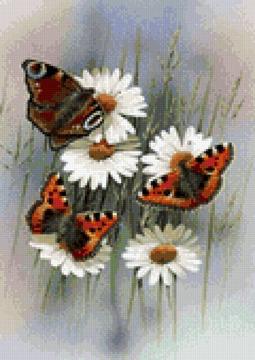 Бабочки трио - бабочка, ромашка - предпросмотр