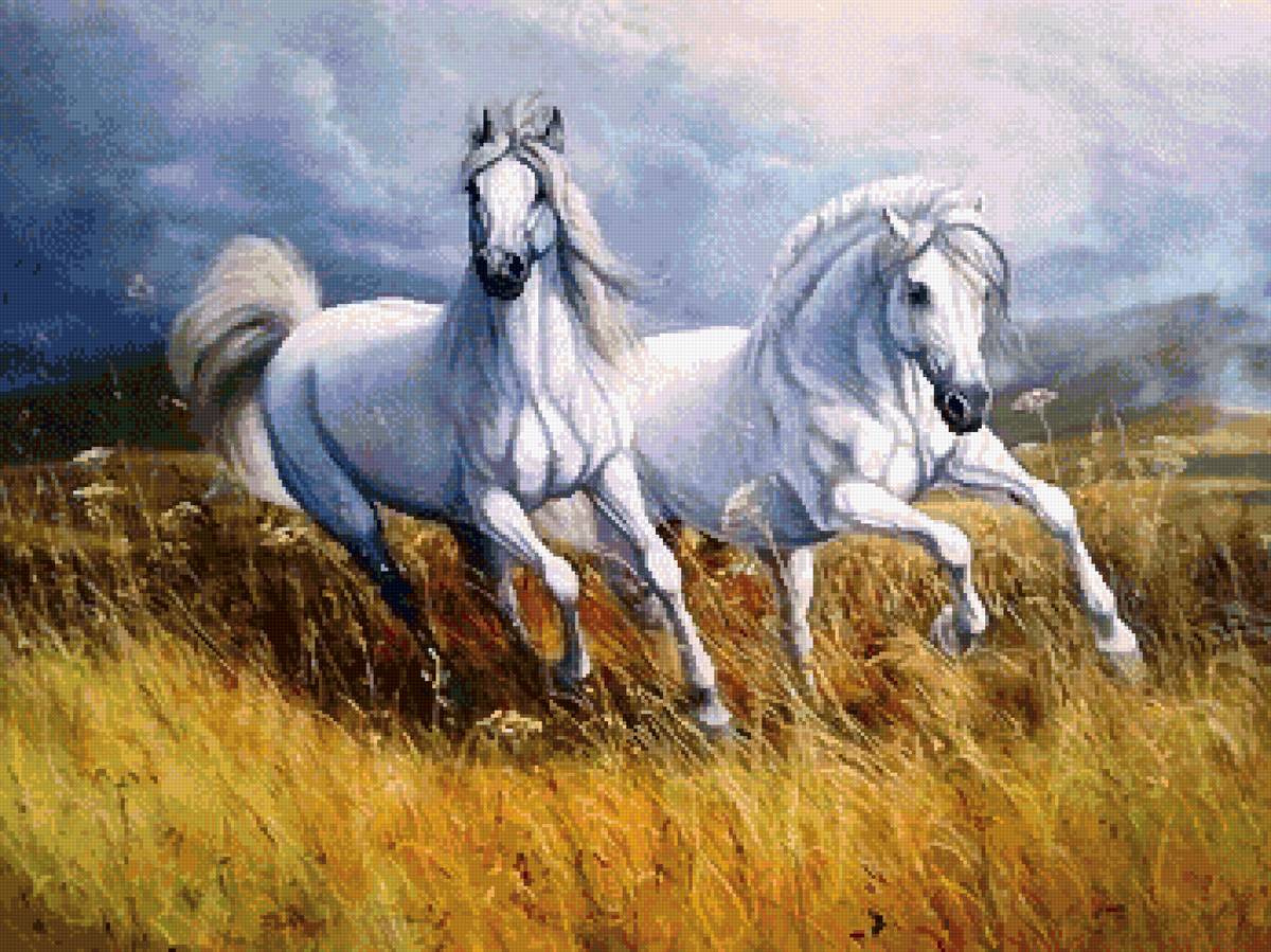 №2680970 - кони, природа, степь, лошади - предпросмотр
