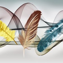 Схема вышивки «Парящие перья»