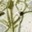 Предпросмотр схемы вышивки «Ботаника» (№2686508)