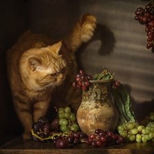 Оригинал схемы вышивки «кот и виноград» (№2688826)