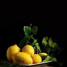 Схема вышивки «Лимоны»