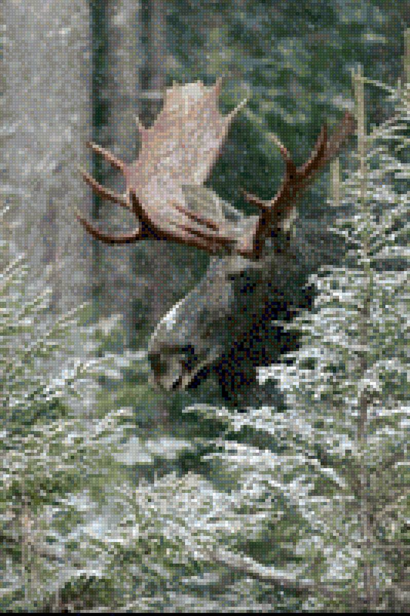 Лось в зимнем лесу - лось - предпросмотр