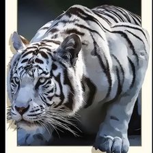 Оригинал схемы вышивки «Тигр» (№2701209)