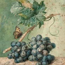 Оригинал схемы вышивки «Ветка винограда» (№2712680)