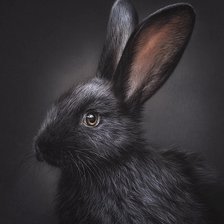 Оригинал схемы вышивки «Чёрный кролик» (№2714343)