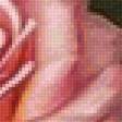 Предпросмотр схемы вышивки «Розы» (№2719809)