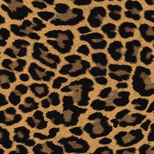 Схема вышивки «Шкура ягуара 2»