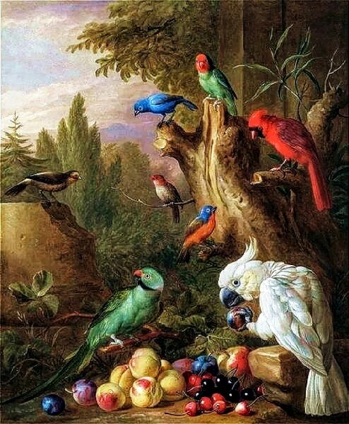 №2722198 - попугаи, птицы - оригинал