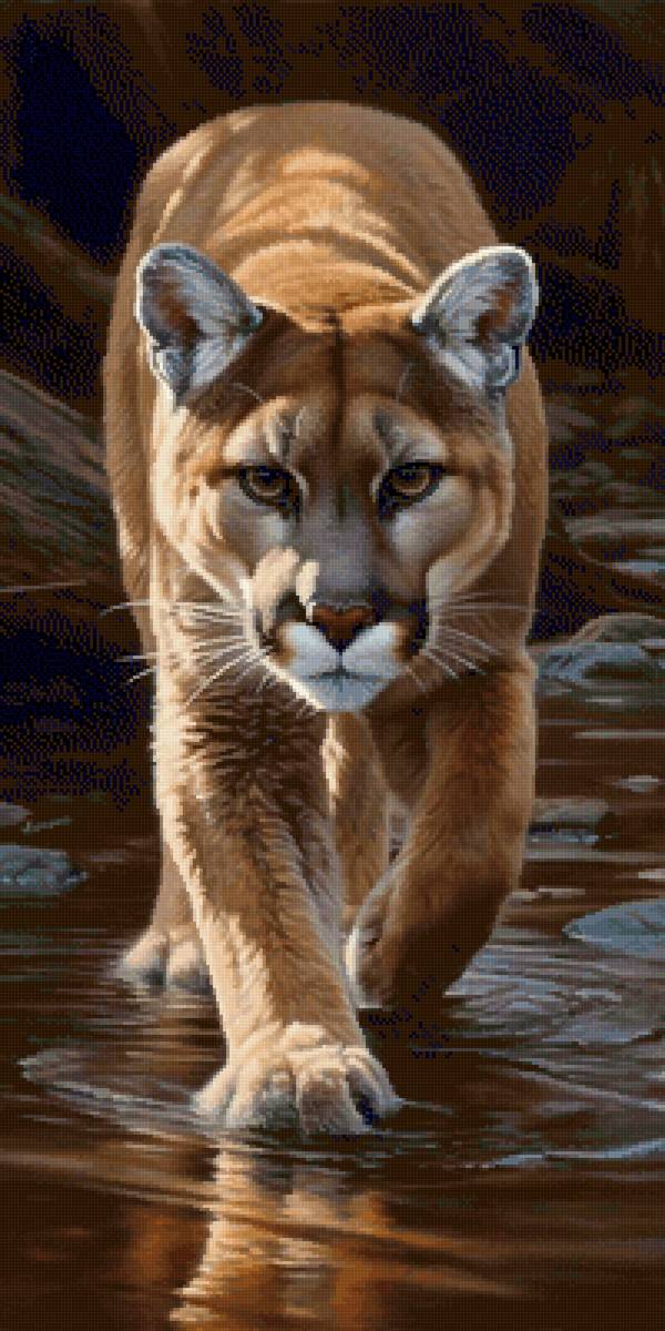 Львица - лев, животные, дикие кошки - предпросмотр