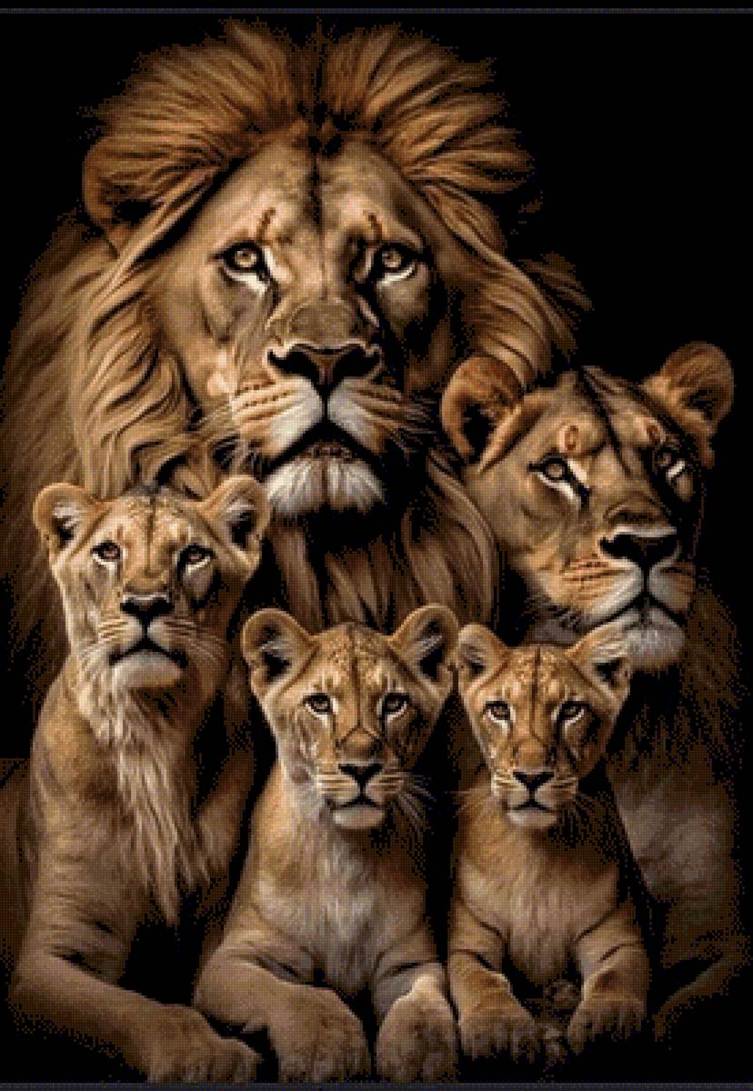Львиное семейство 3 - лев - предпросмотр