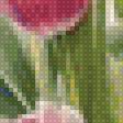 Предпросмотр схемы вышивки «Тюльпаны» (№2732629)