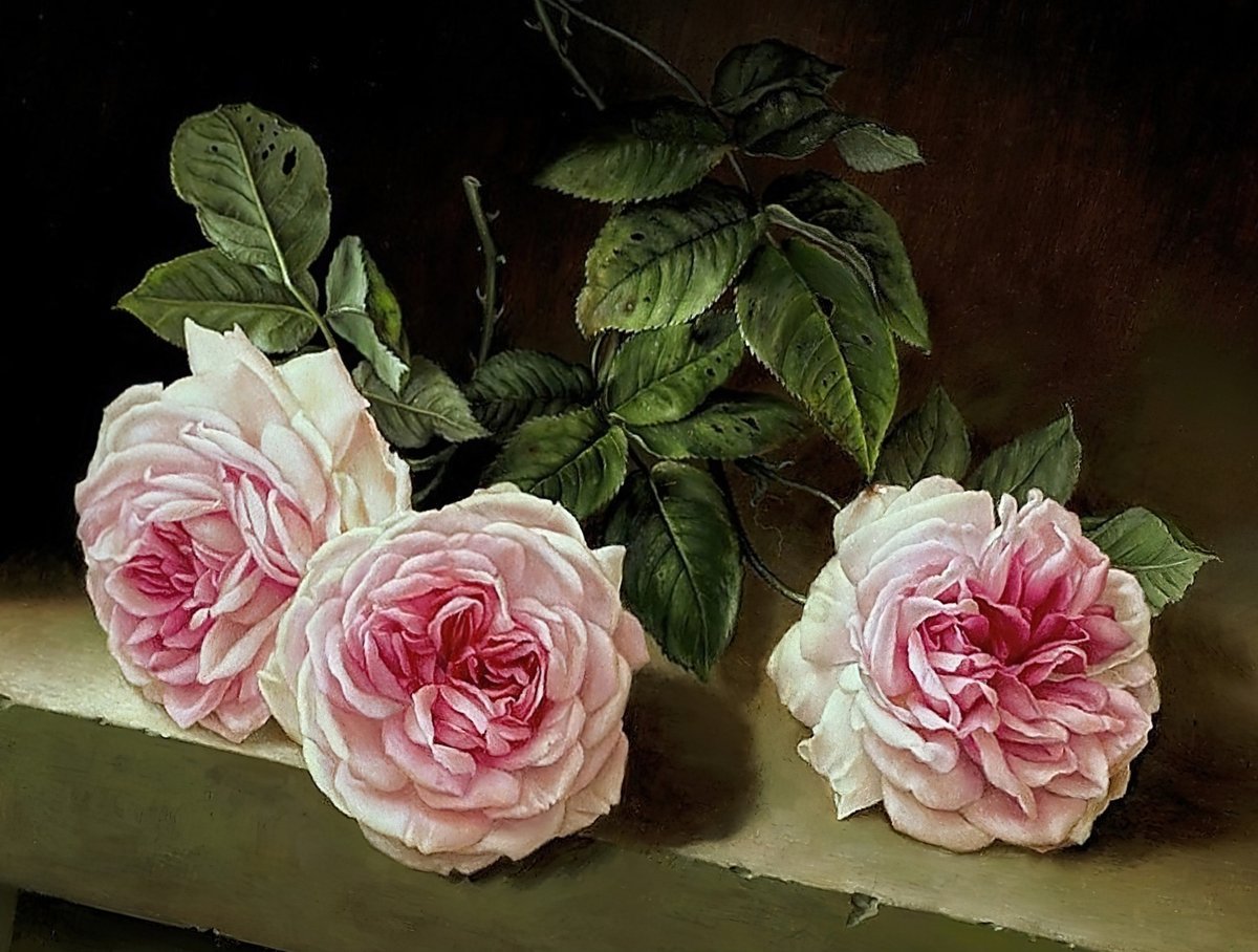 Розы на столе - букет роз, розы, цветы - оригинал