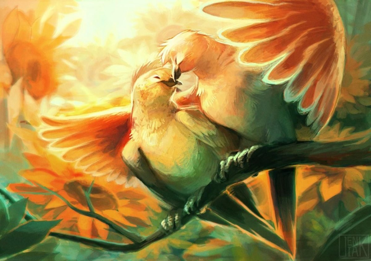 Пара птичек - голуби, милота, пара, нежность, птицы, радость, любовь - оригинал