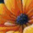 Предпросмотр схемы вышивки «цветы» (№2748986)