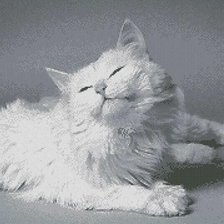 Оригинал схемы вышивки «Белая кошка» (№2750488)