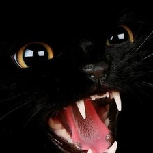 Схема вышивки «люблю черных котов»